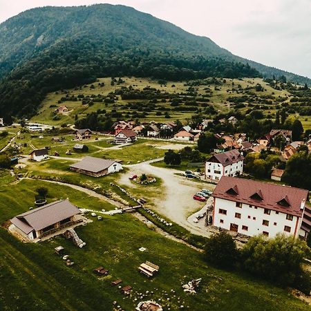 Pensiunea 3 Brazi Zarnesti Ngoại thất bức ảnh