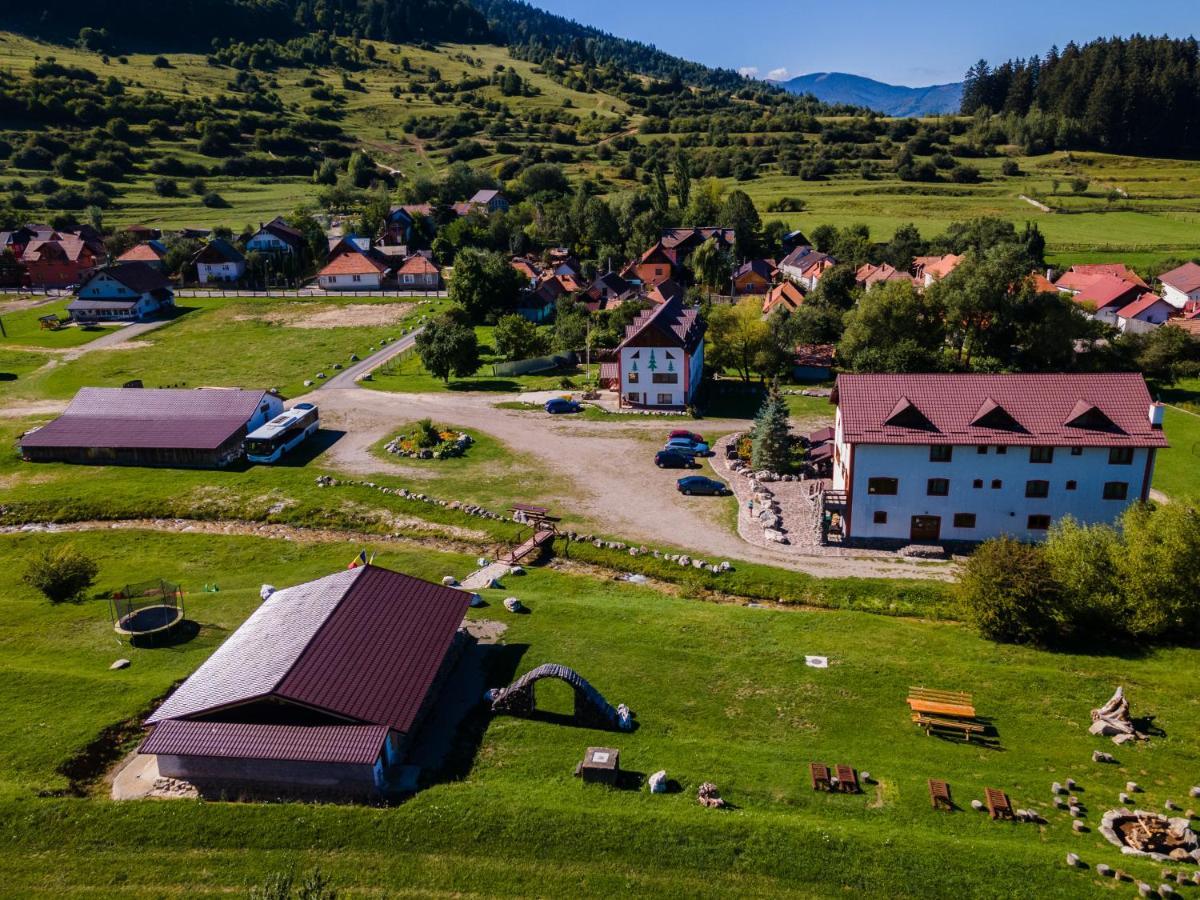 Pensiunea 3 Brazi Zarnesti Ngoại thất bức ảnh