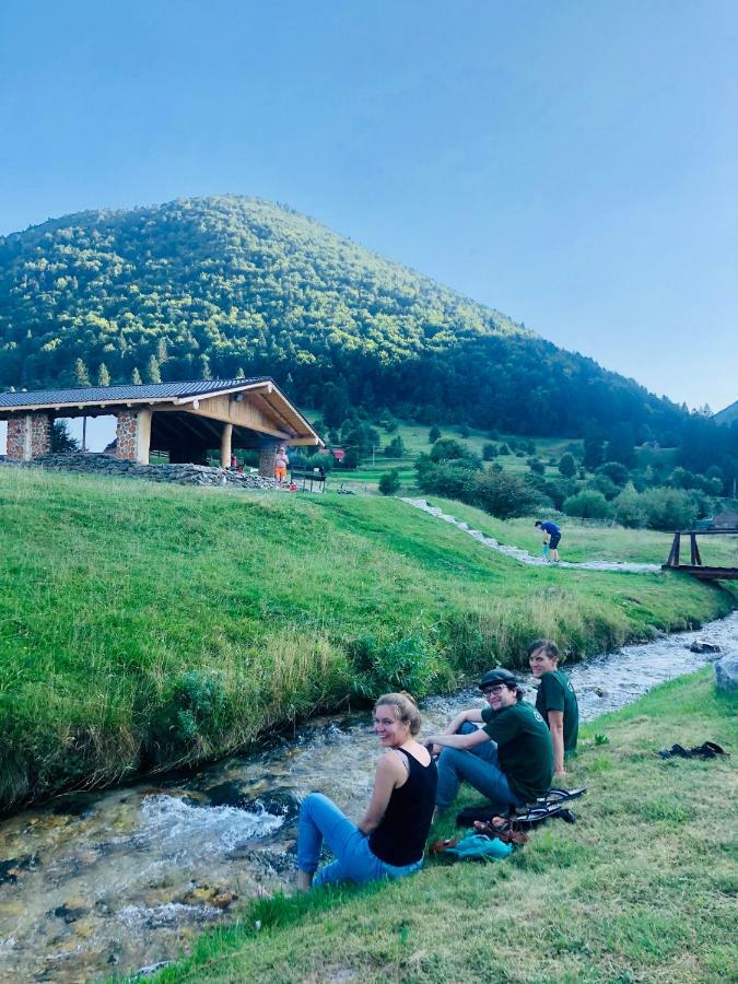 Pensiunea 3 Brazi Zarnesti Ngoại thất bức ảnh